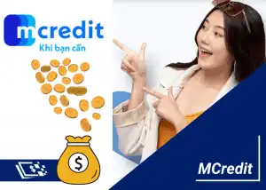 Vài nét về MCredit