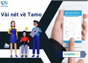 Vài nét về Tamo vay