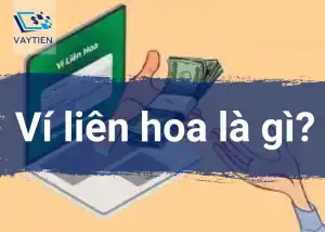 Ví liên hoa là gì